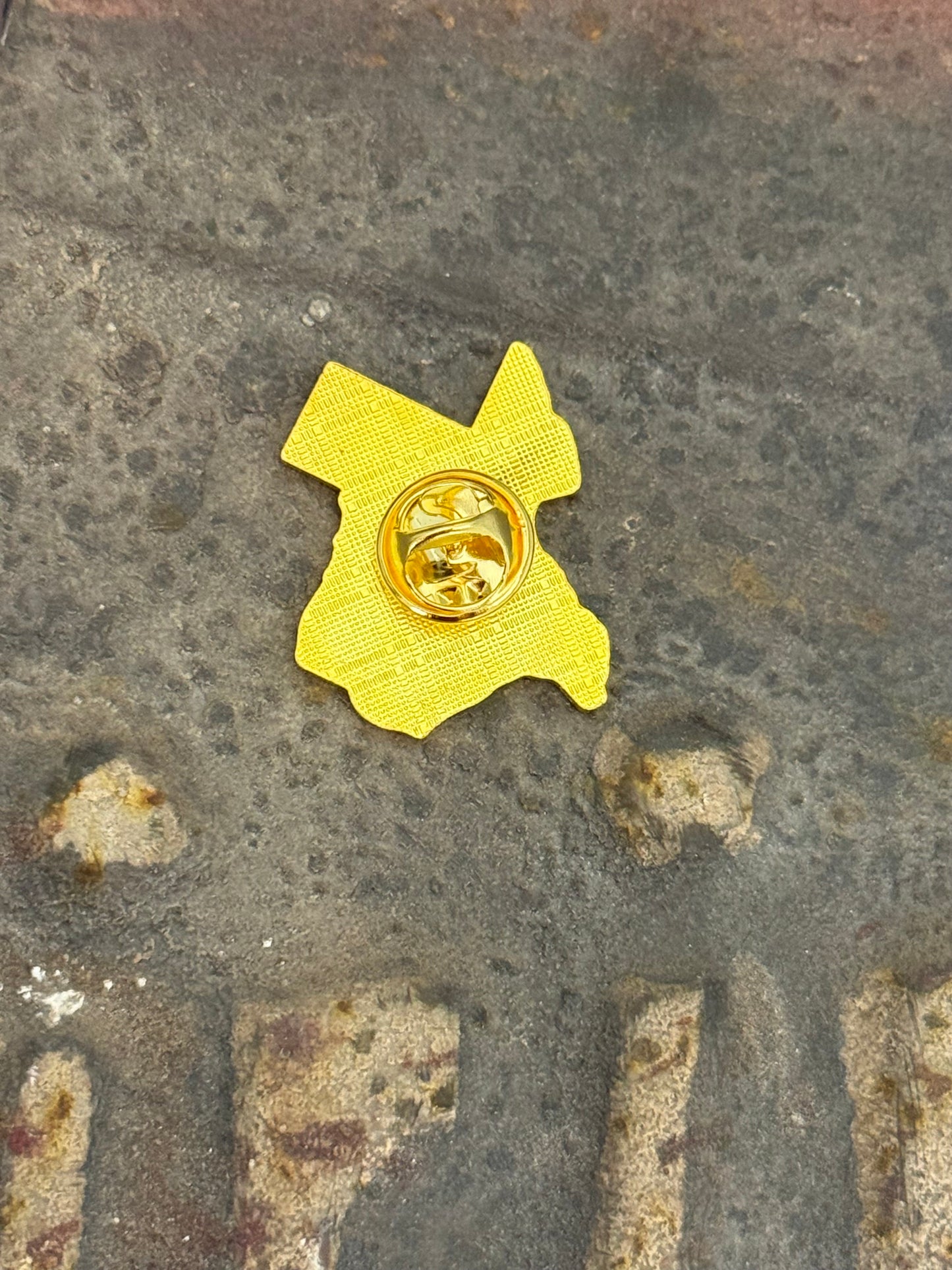 Tejas Hat Pin