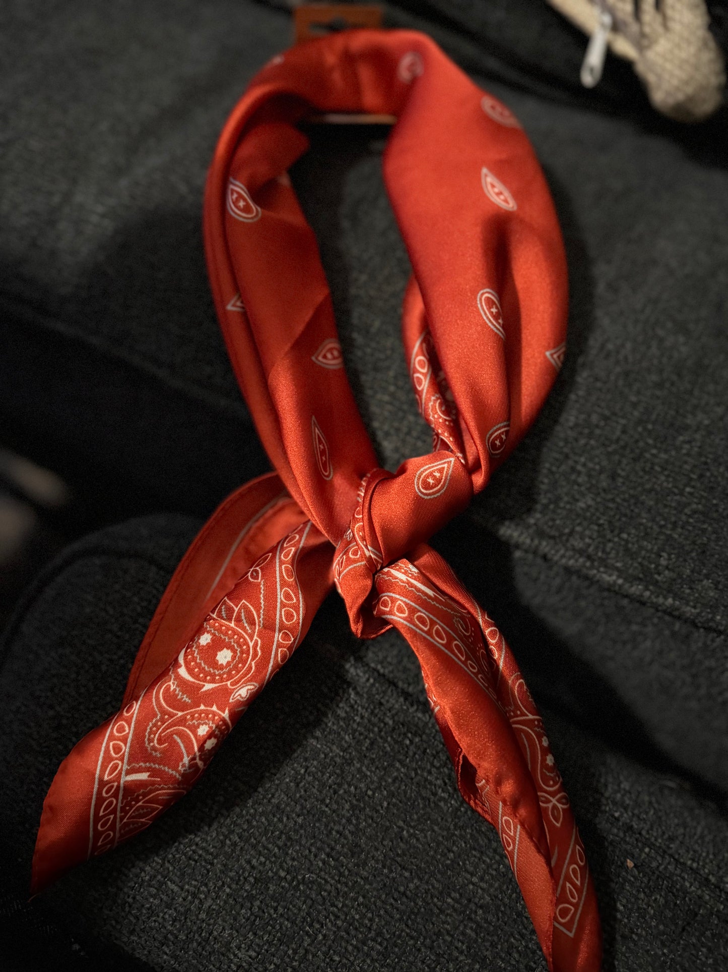 Western Scarf