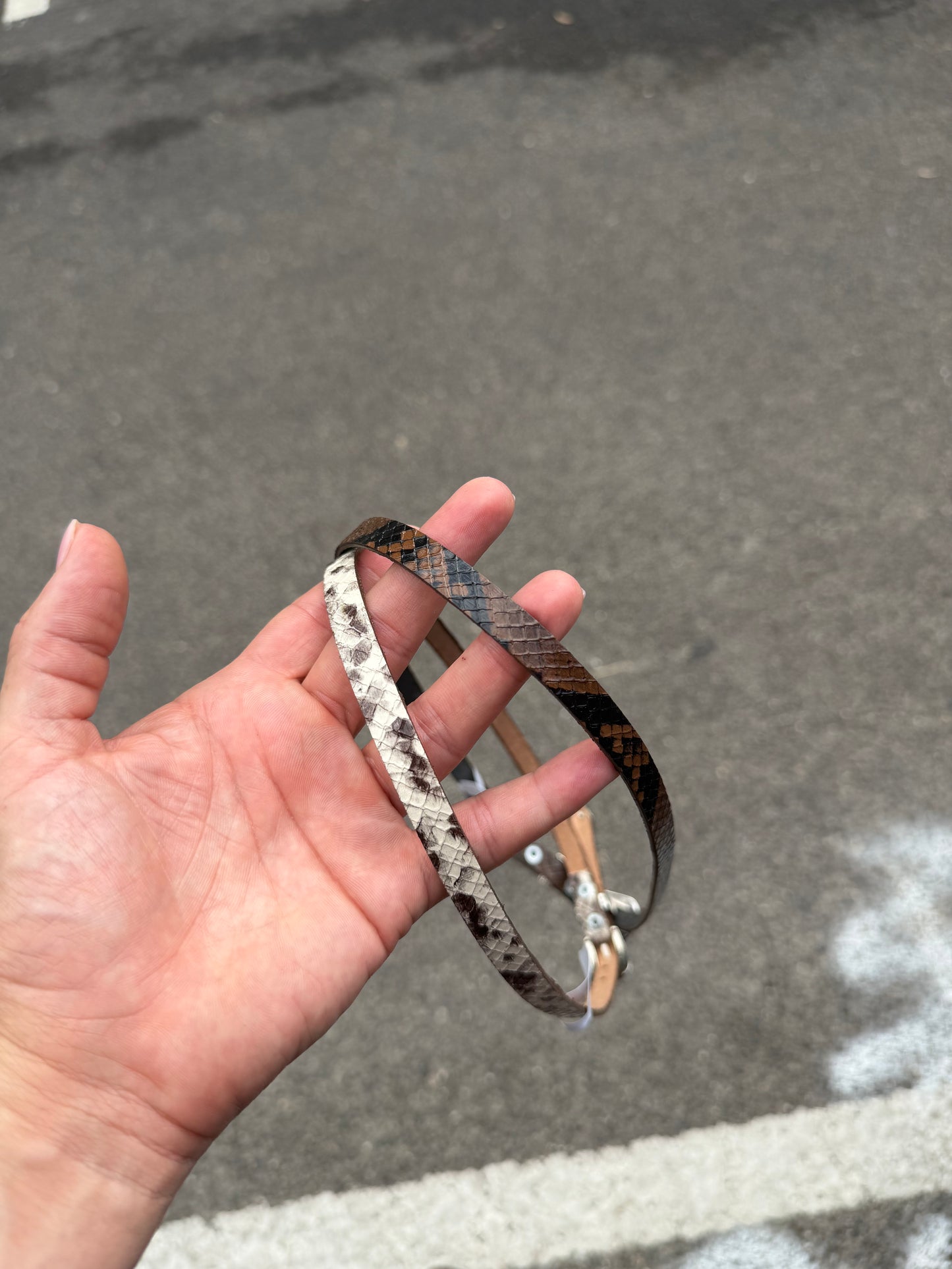 Hat band Snake